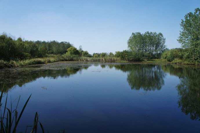 深圳水質(zhì)檢測(cè) 深圳水質(zhì)檢測(cè)